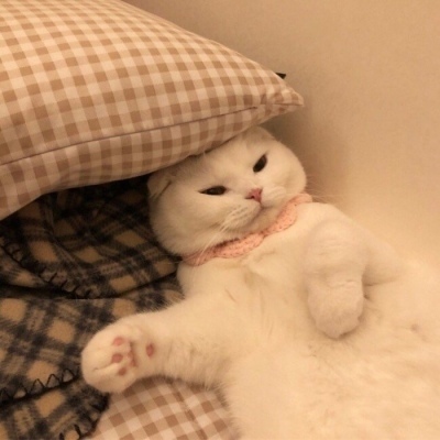 猴年欢腾闹新春——局属各单位节日活动红红火火
